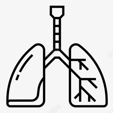 肺解剖学人体器官图标