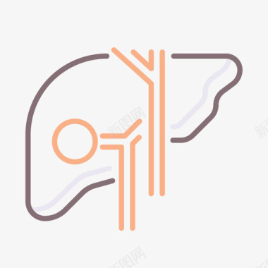 肝脏解剖学12线状颜色图标