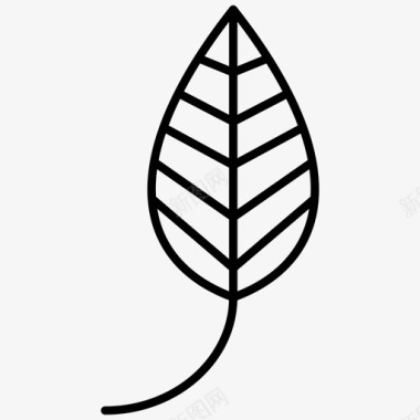 leaf秋季2px线条图标图标