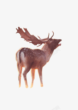 鹿5动物格式图透明图素材