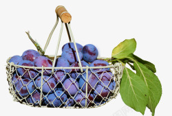 在篮李子水果孤立食品健康维生素营养吃美味新鲜甜性质素材
