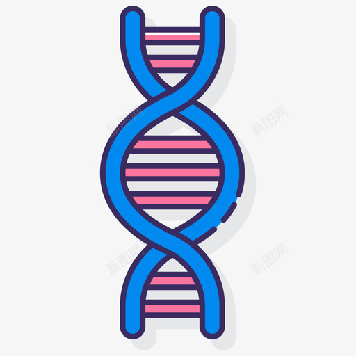 Dna解剖学11线状颜色svg_新图网 https://ixintu.com Dna 解剖学 线状 颜色