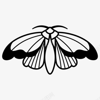 飞蛾蝴蝶纹身图标