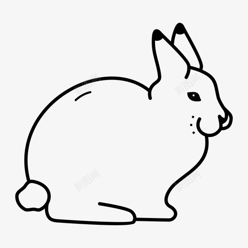 极地动物兔子北极兔svg_新图网 https://ixintu.com 动物 极地 北极 兔子