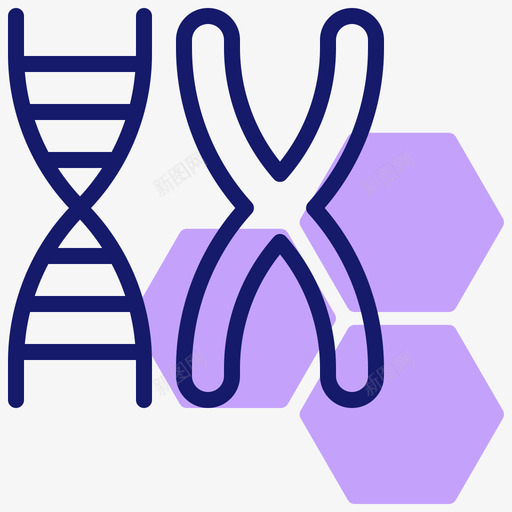 Dna体检线性颜色svg_新图网 https://ixintu.com Dna 体检 线性 颜色