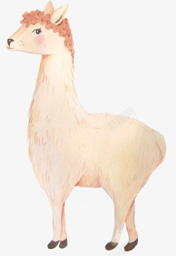 36款水彩可爱骆驼超高清插画WatercolorL素材