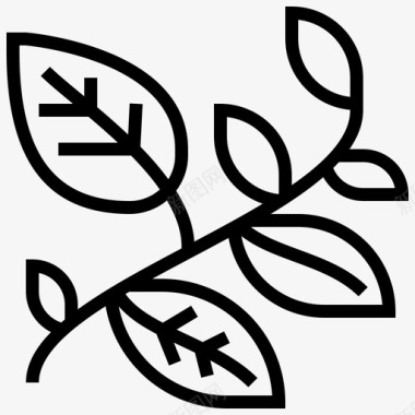 叶草本植物自然图标