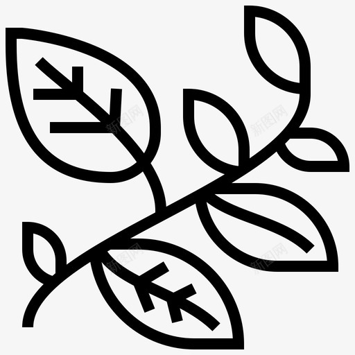 叶草本植物自然svg_新图网 https://ixintu.com 草本植物 自然 植物 藤蔓 spaelementline1