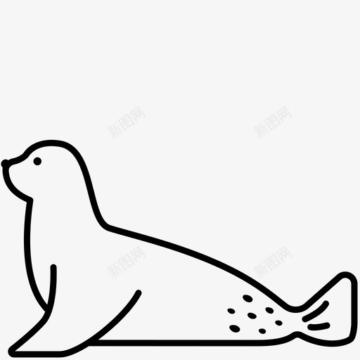 海豹动物北极svg_新图网 https://ixintu.com 动物 海豹 北极 生物 轮廓