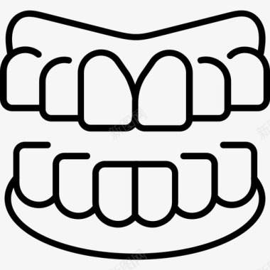 牙颌解剖学生物学图标