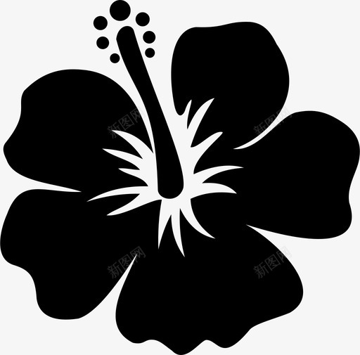 芙蓉花花园svg_新图网 https://ixintu.com 芙蓉 花园 植物