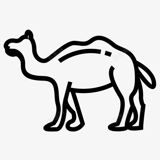 骆驼动物骆驼动物动物骆驼画svg_新图网 https://ixintu.com 骆驼 动物 图片 图标 美国 国旗