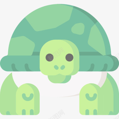 海龟宠物67扁平图标