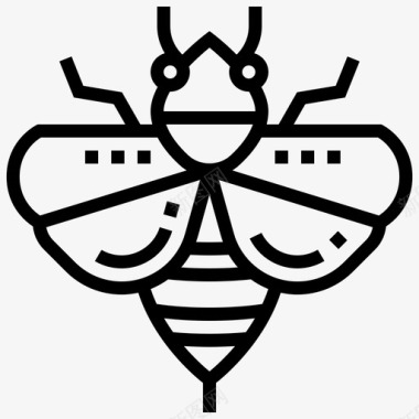 蜜蜂昆虫6直系图标