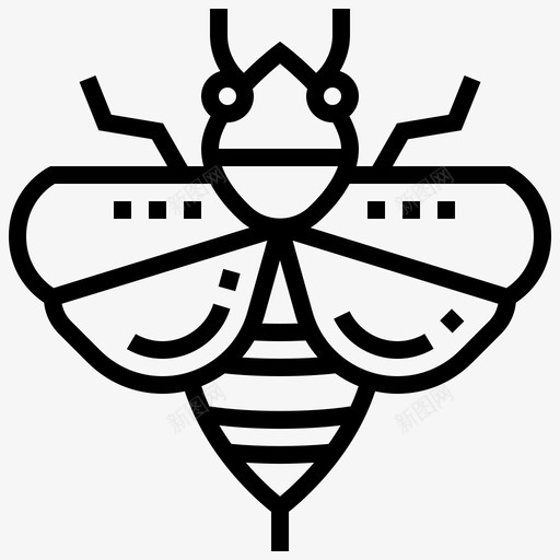 蜜蜂昆虫6直系svg_新图网 https://ixintu.com 蜜蜂 昆虫 直系
