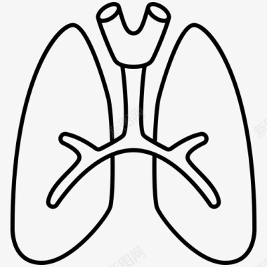 肺呼吸气管图标