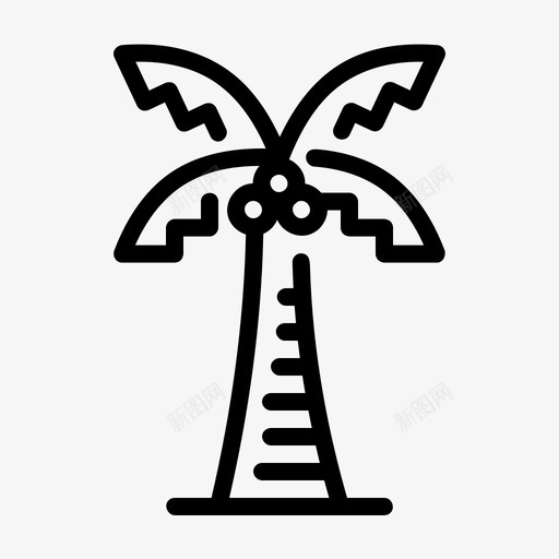 椰子树松树植物svg_新图网 https://ixintu.com 椰子树 夏季 松树 植物 生产线