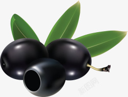 黑橄榄收集蔬菜素材