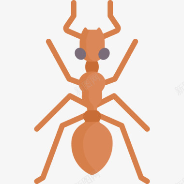 蚂蚁昆虫42扁平图标