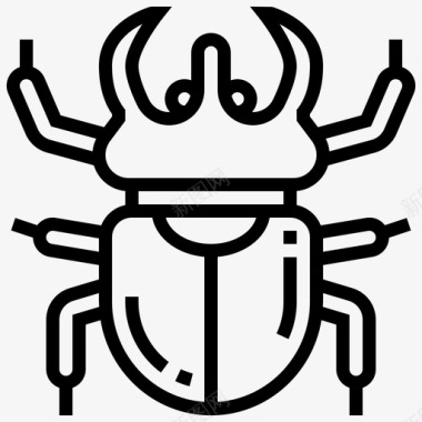 甲虫昆虫6线状图标