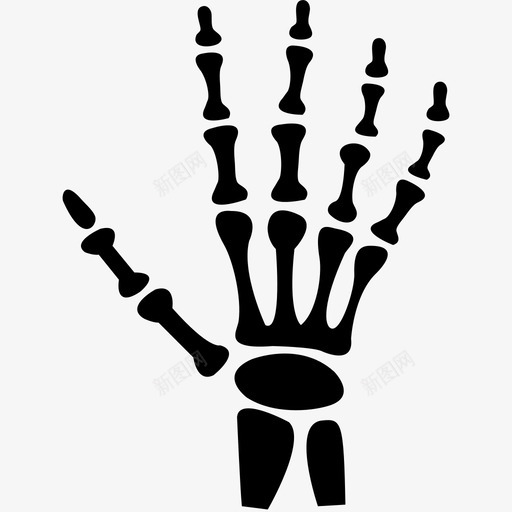 医学影像svg_新图网 https://ixintu.com 医学影像