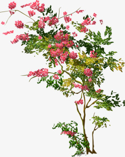 杜鹃花边框手绘九重葛水彩花卉红色花枝高清图片
