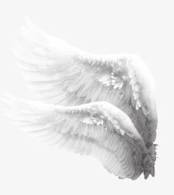 天使羽毛翅膀免扣透明底高清大图逼格西方魔幻杂七杂八素材