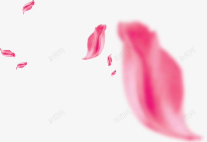 漂浮粉色玫瑰花瓣png免抠素材_新图网 https://ixintu.com 化妆品元素 漂浮花瓣 玫瑰花瓣 装饰元素 粉色