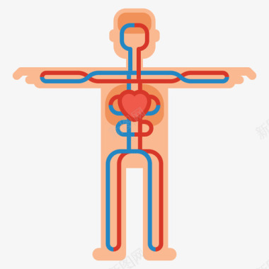 循环系统解剖学13扁平图标