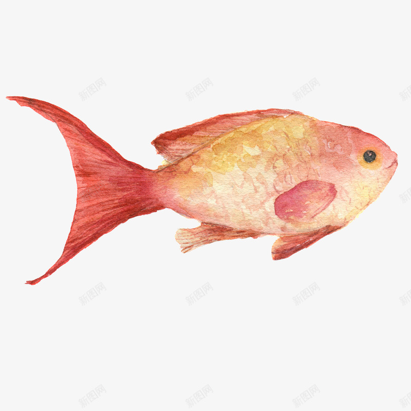 水彩油画海底动物植物鱼水母剪贴画免扣图案手账设计Ppng免抠素材_新图网 https://ixintu.com 水彩 油画 海底 动物 植物 鱼水 水母 剪贴 贴画 免扣 图案