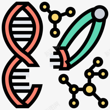 遗传茎21线形颜色图标