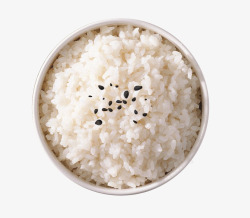 米饭大白饭五谷食物平面平面视觉设计素材