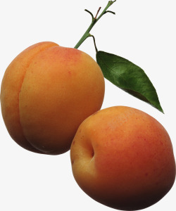 桃子黄桃水果透明底图桃子黄桃桃子黄桃水果透明底图素材