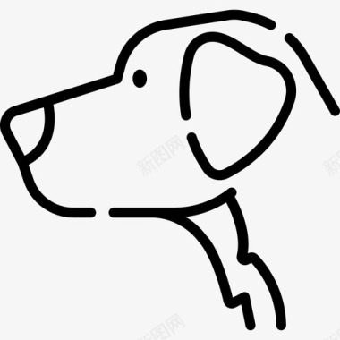 金毛猎犬犬种14直系图标