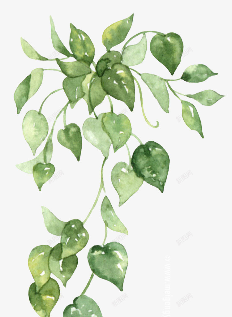 美工云室内绿色植物涂设计png免抠素材_新图网 https://ixintu.com 美工 室内 绿色植物 设计
