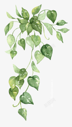 美工云室内绿色植物涂设计素材