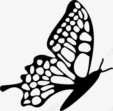 蝴蝶野生动物动物翅膀图标