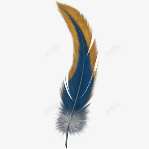 9个漂亮的羽毛图标羽毛翅膀png_新图网 https://ixintu.com 羽毛 9个 漂亮 亮的 图标 翅膀