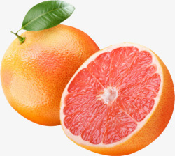 葡萄柚子矢量葡萄柚子柚子水果高清图片