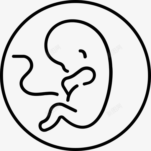 怀孕胚胎胎儿svg_新图网 https://ixintu.com 怀孕 胚胎 胎儿 母亲 试管婴儿
