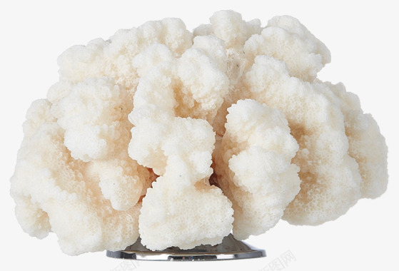 三谷置家北欧风格白色水晶珊瑚家居类T2020828图标