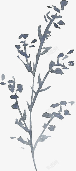 彩黑白波西米亚牡丹花卉剪贴画婚礼请柬设计PS20彩素材