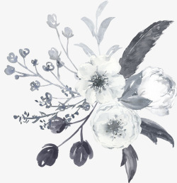 彩黑白波西米亚牡丹花卉剪贴画婚礼请柬设计PS49彩素材
