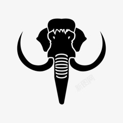 勐犸象牙手串猛犸象动物大象高清图片