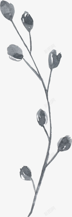 彩黑白波西米亚牡丹花卉剪贴画婚礼请柬设计PS26彩素材