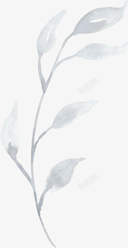 彩黑白波西米亚牡丹花卉剪贴画婚礼请柬设计PS23彩素材