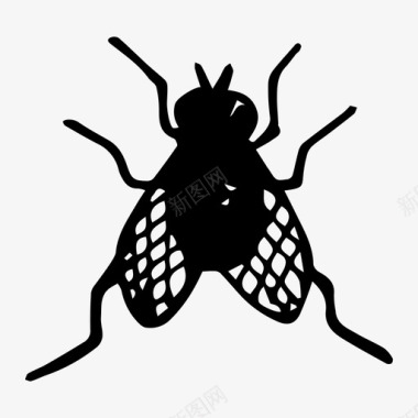 苍蝇昆虫素描图标