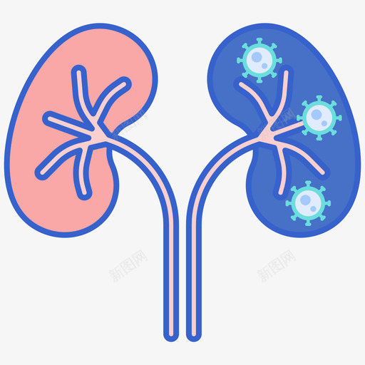 肾脏病毒传播94线状颜色svg_新图网 https://ixintu.com 肾脏 病毒 传播 线状 颜色