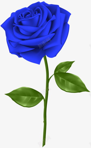 rose66753369600手绘卡通鲜花植物类Tpng免抠素材_新图网 https://ixintu.com rose66753369600 手绘 卡通 鲜花 植物类
