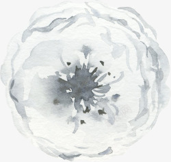 彩黑白波西米亚牡丹花卉剪贴画婚礼请柬设计PS5彩黑素材